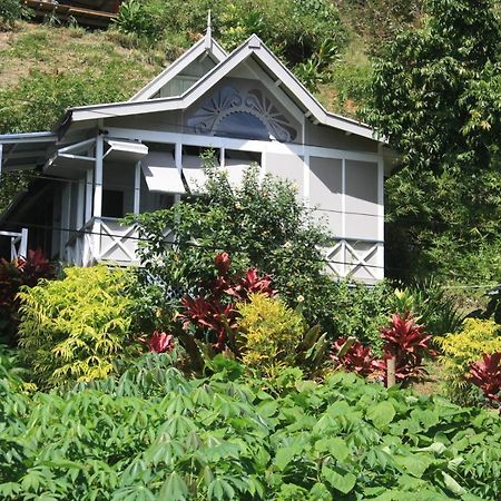 Gingerbread Cottage And Studio Fiji Savusavu Kültér fotó