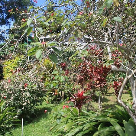Gingerbread Cottage And Studio Fiji Savusavu Kültér fotó