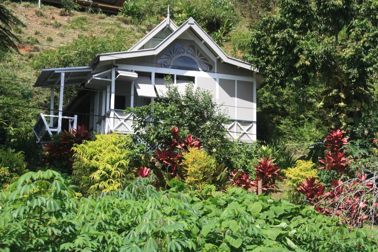 Gingerbread Cottage And Studio Fiji Savusavu Kültér fotó