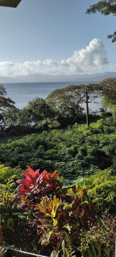 Gingerbread Cottage And Studio Fiji Savusavu Kültér fotó